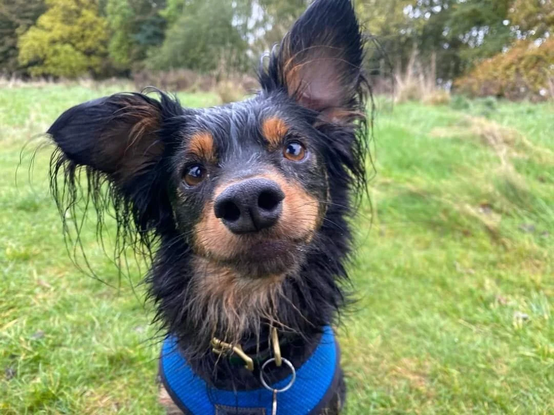 2F600E06-C22F-4D87-838A-7757D557770E