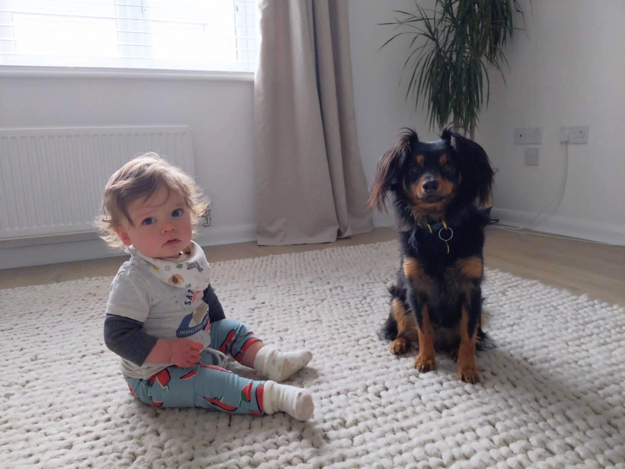 4A25228C-CFB0-45F6-9D64-5A81AF80E6A3