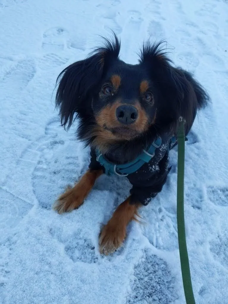 4EEDBB7C-F0B0-4F1A-BDC0-4042FC25118C