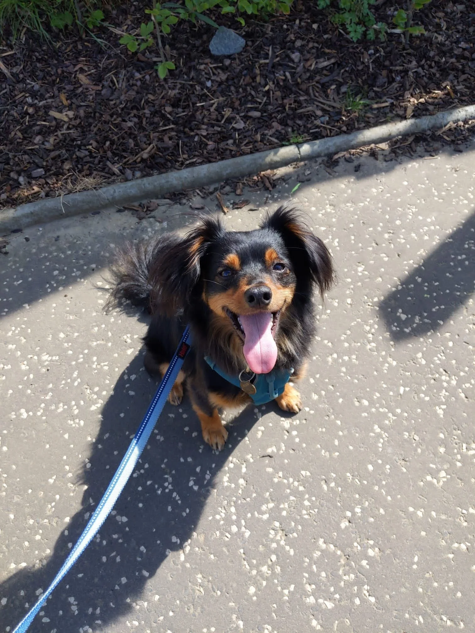 B700EF16-3D22-46D5-A14B-FEAD36A69D16