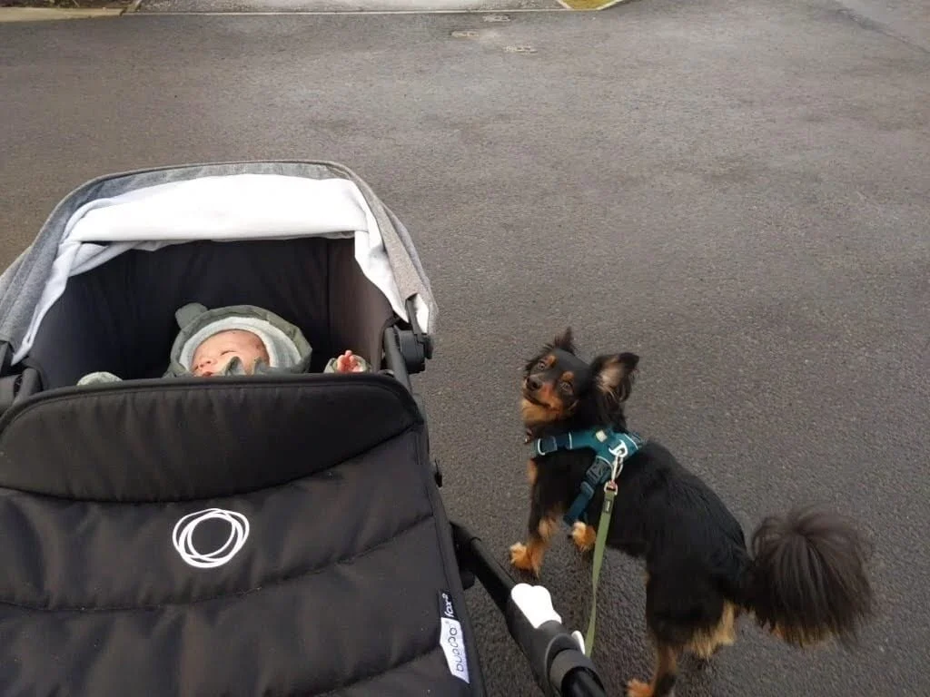 5F687C41-8B06-4C9A-8D99-1D5F23FE60E9