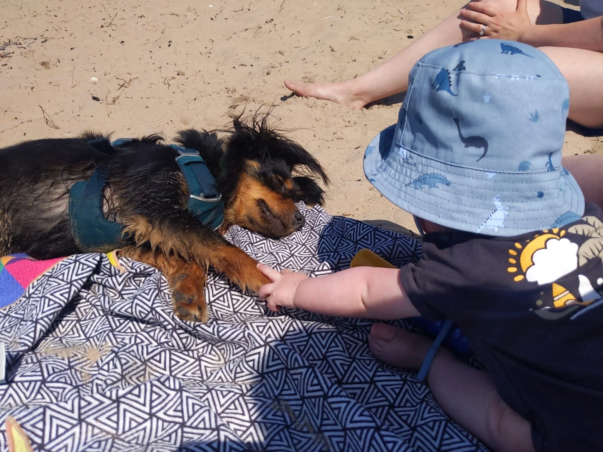 277BA077-A823-4A09-AF41-D4C541E6CAD0