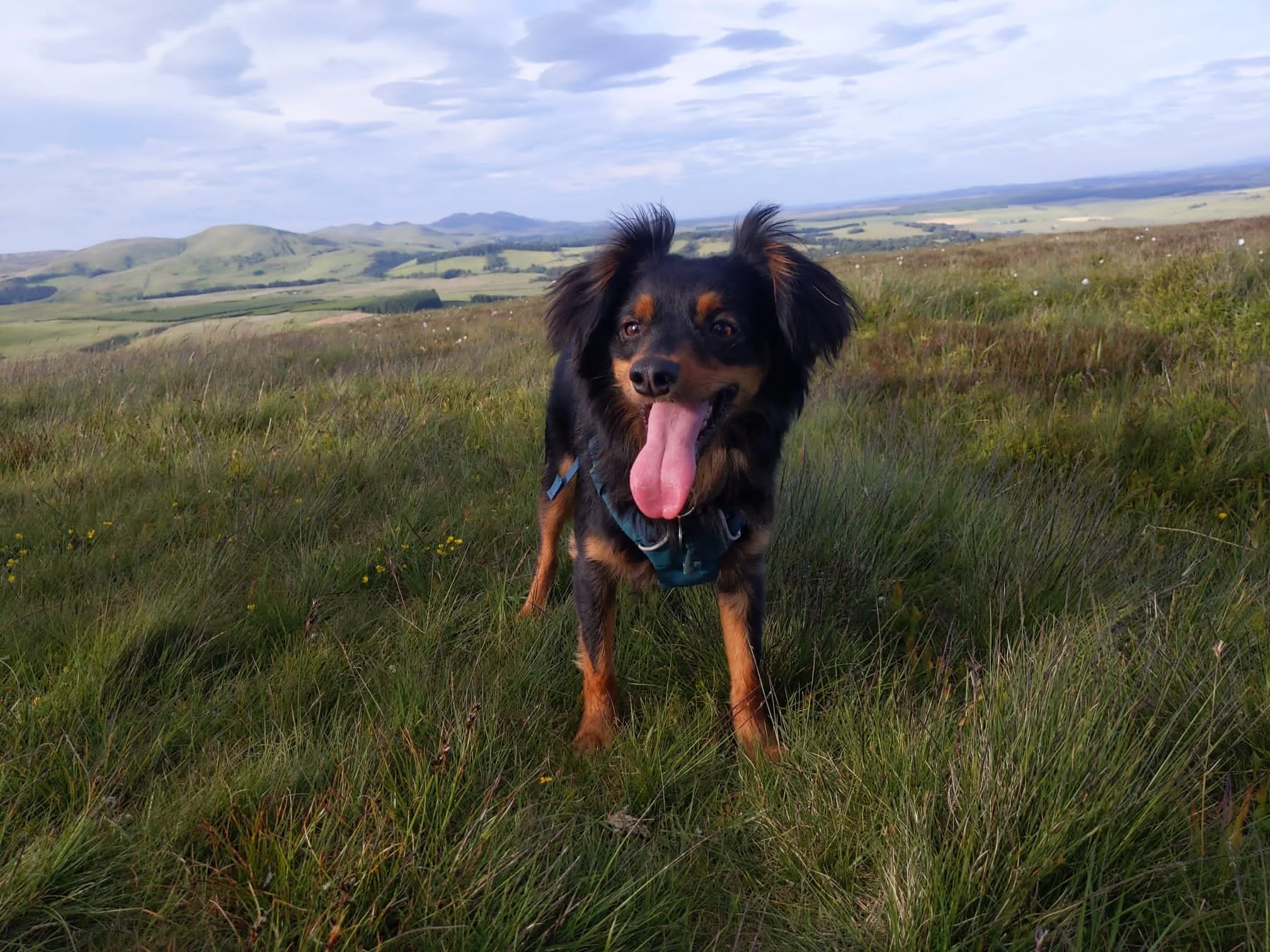 455E48D6-8DFB-4391-859A-5A776405B000