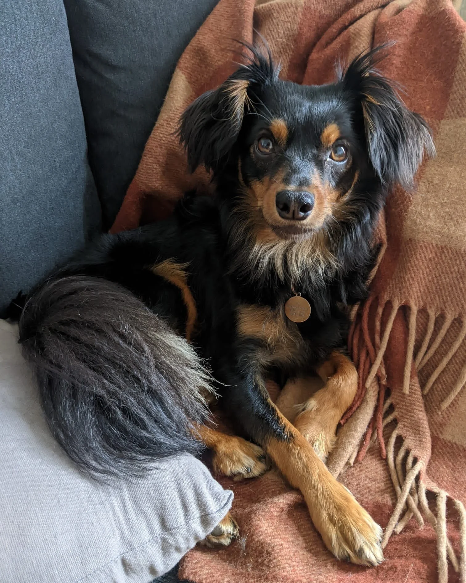 8ED5A3A5-ED64-4CAE-9538-6F05FDE287D1