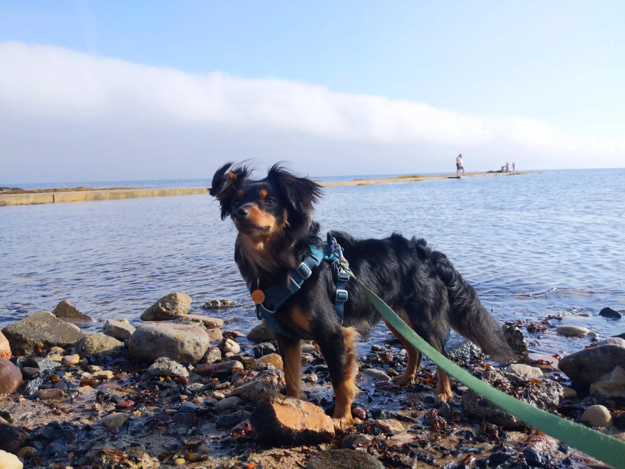 BC5DD9ED-0672-4DE3-87FF-C0A4DDF390BD