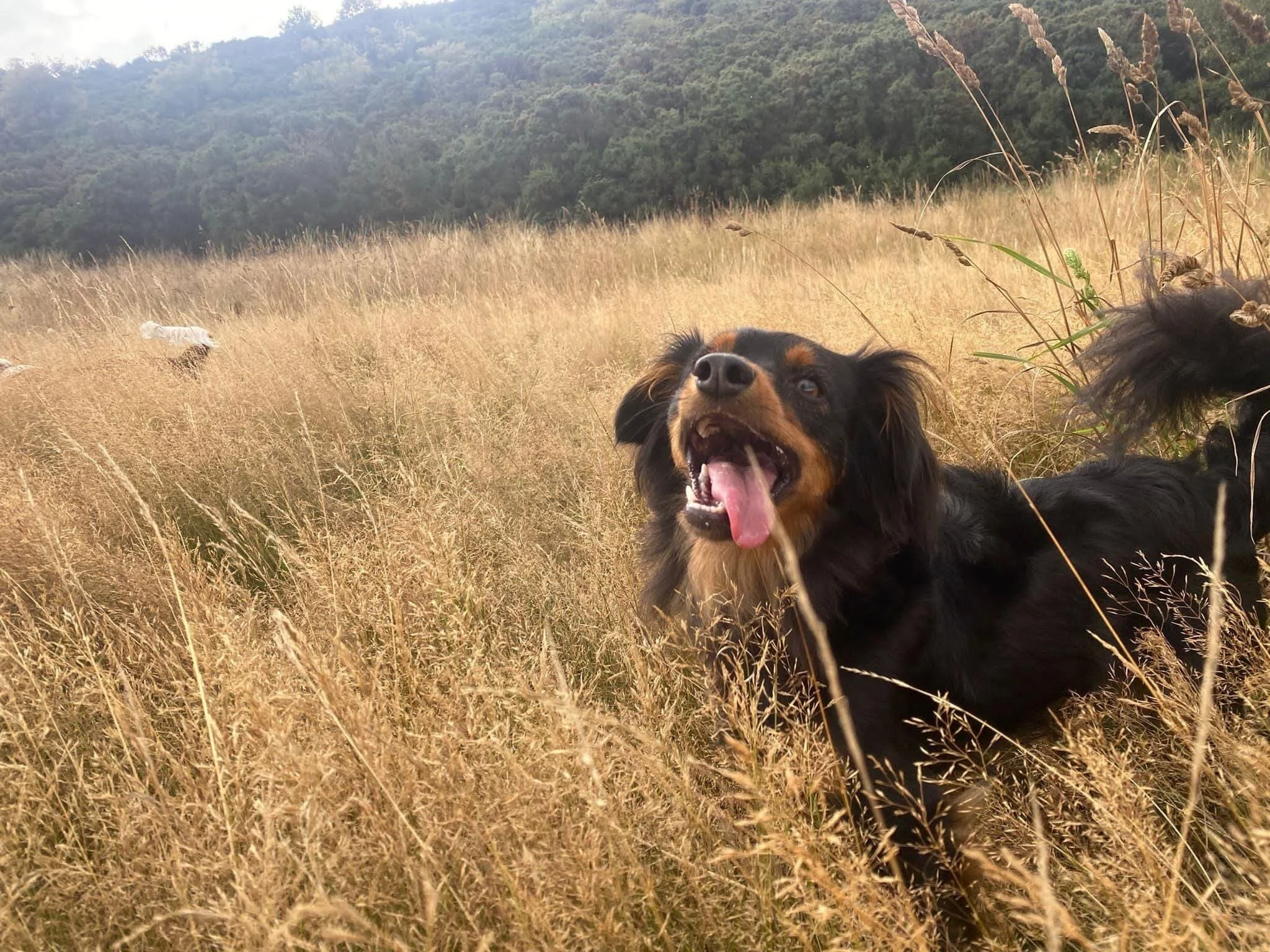 10F64AE2-2262-4190-8BA8-885B9C33CE68