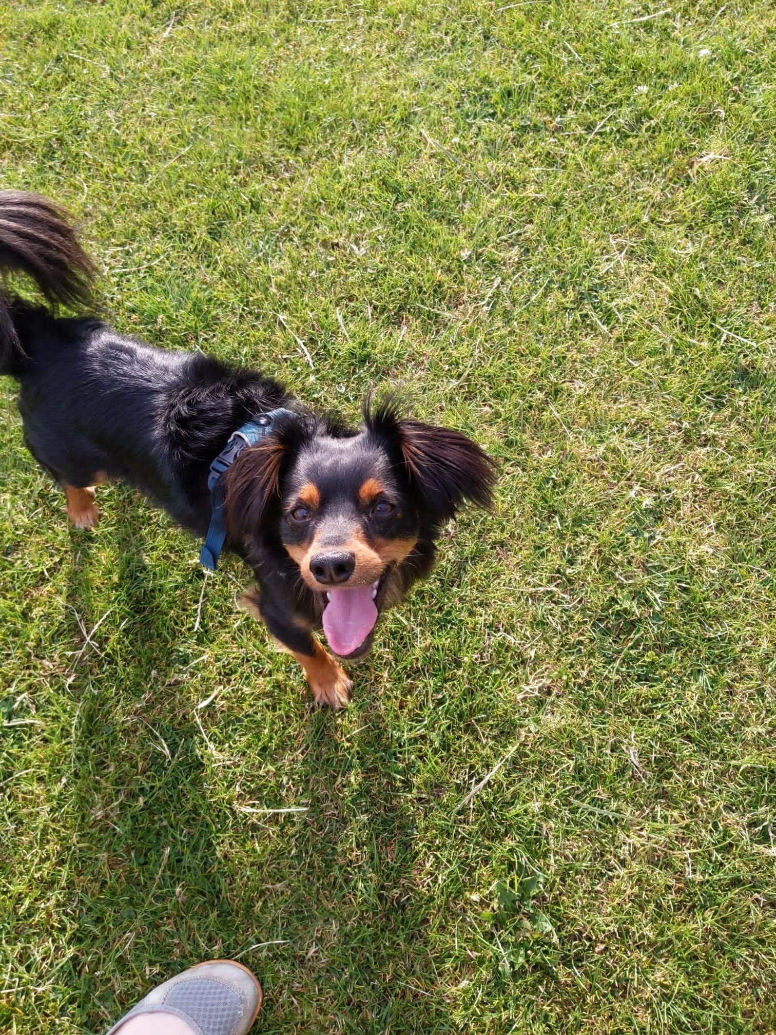 A18E4515-5040-4669-BD99-4F48FBFA833D