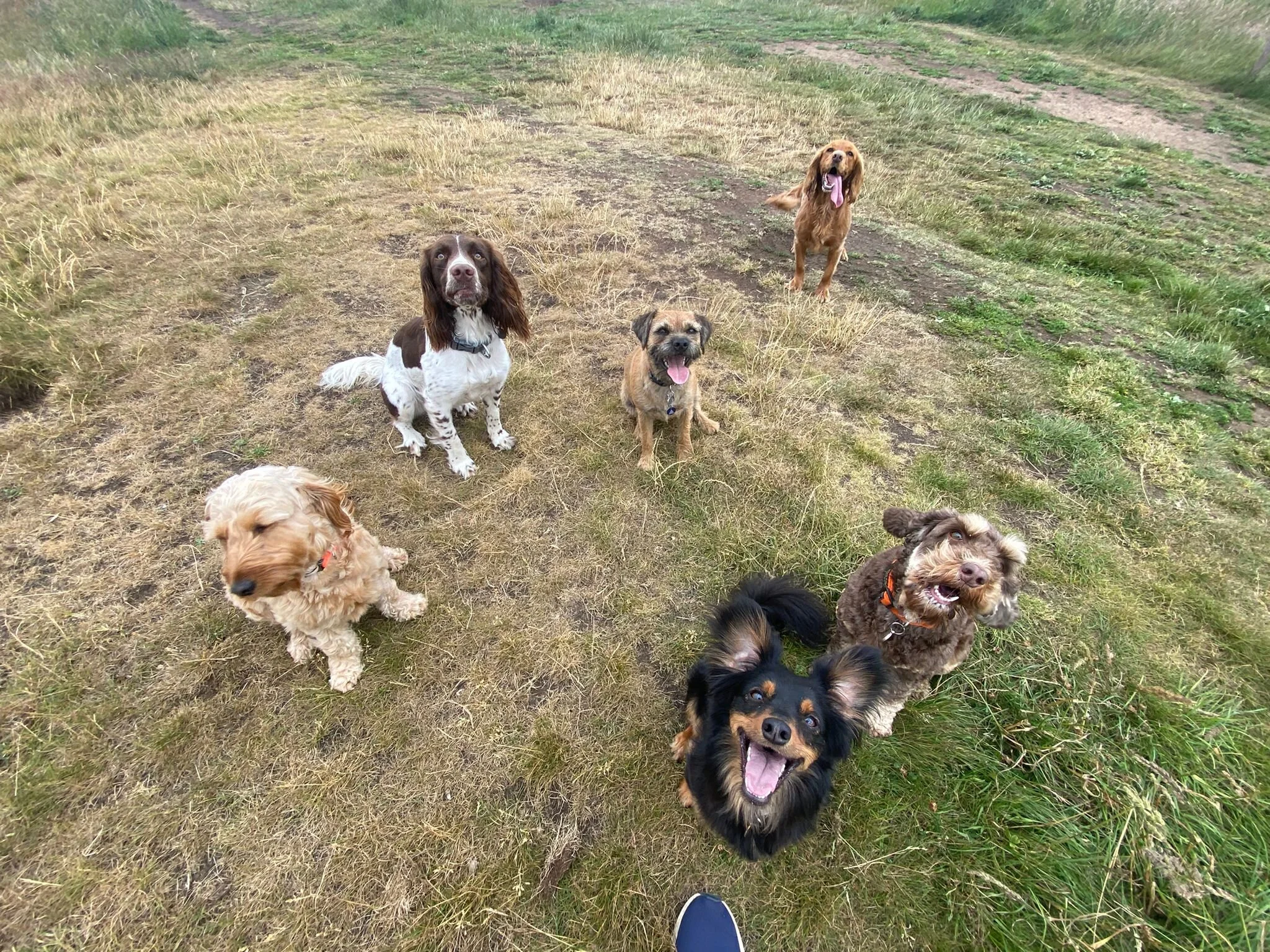 2CEA56A9-D086-4086-8F0B-CCCB9E33A69F