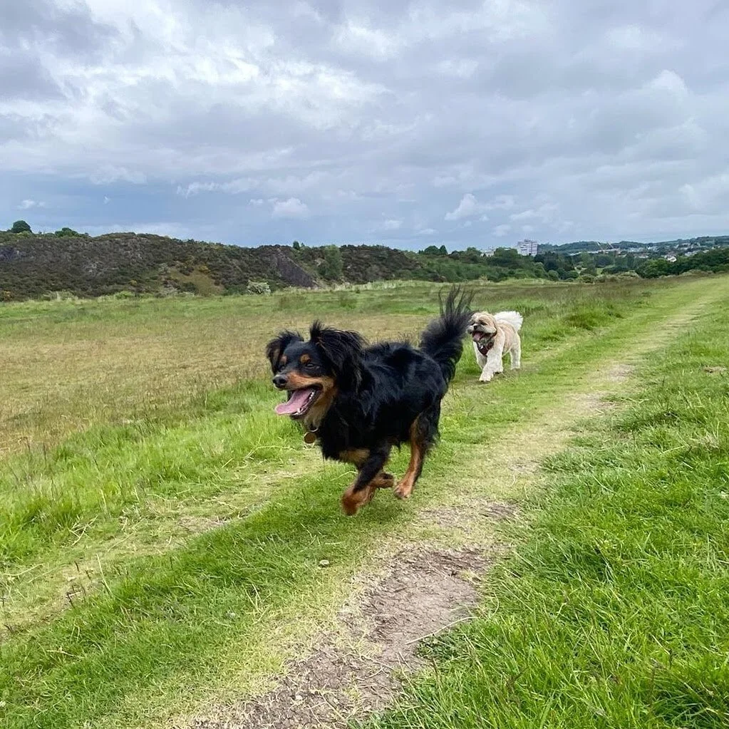 91BBA75C-24E2-42E5-AFBB-5E0EA24BA647