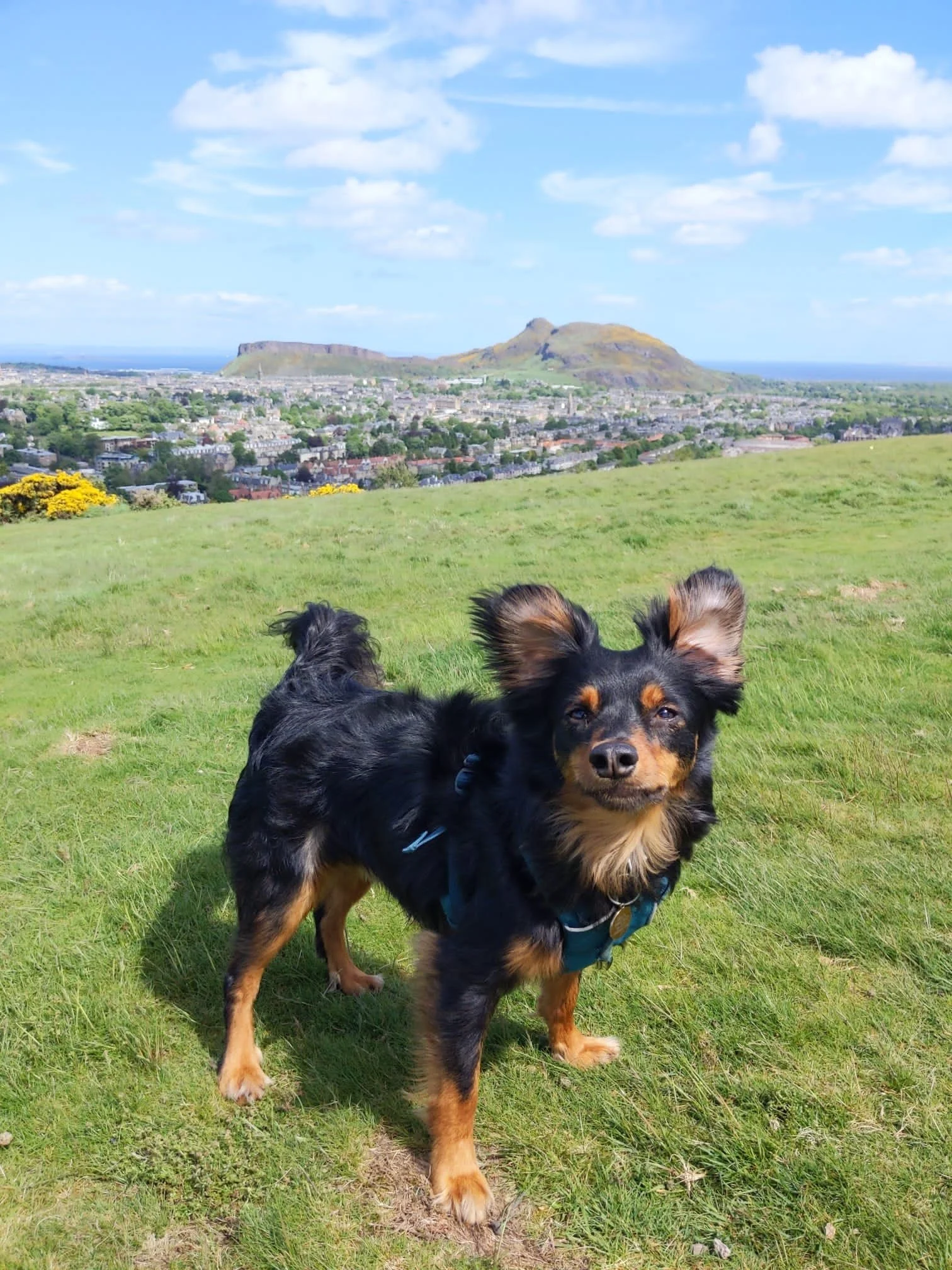 3D60489E-0EF0-435E-9A76-A468B8925697