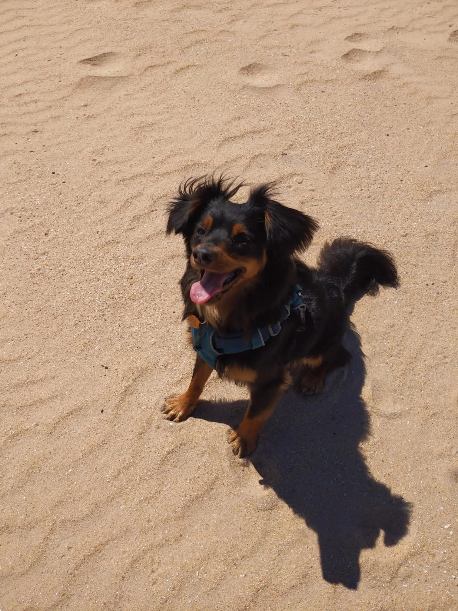 E68F680C-F2A7-4B08-B7DD-C317EE78A47C