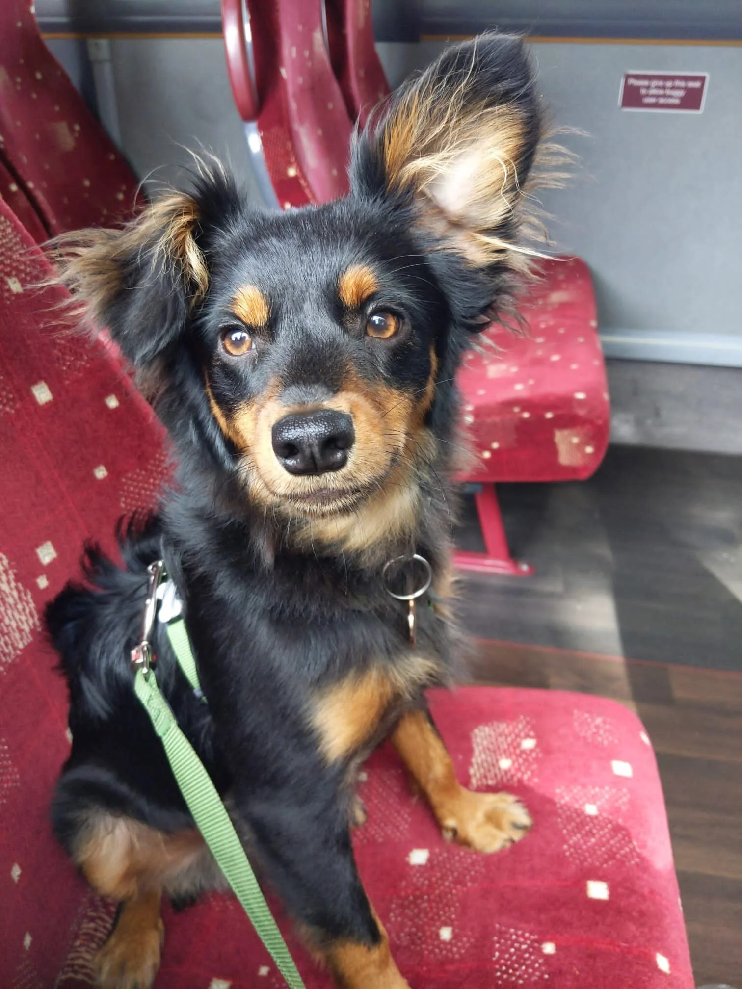 BE4DA916-35ED-4A27-AEF7-D858A55A76A7