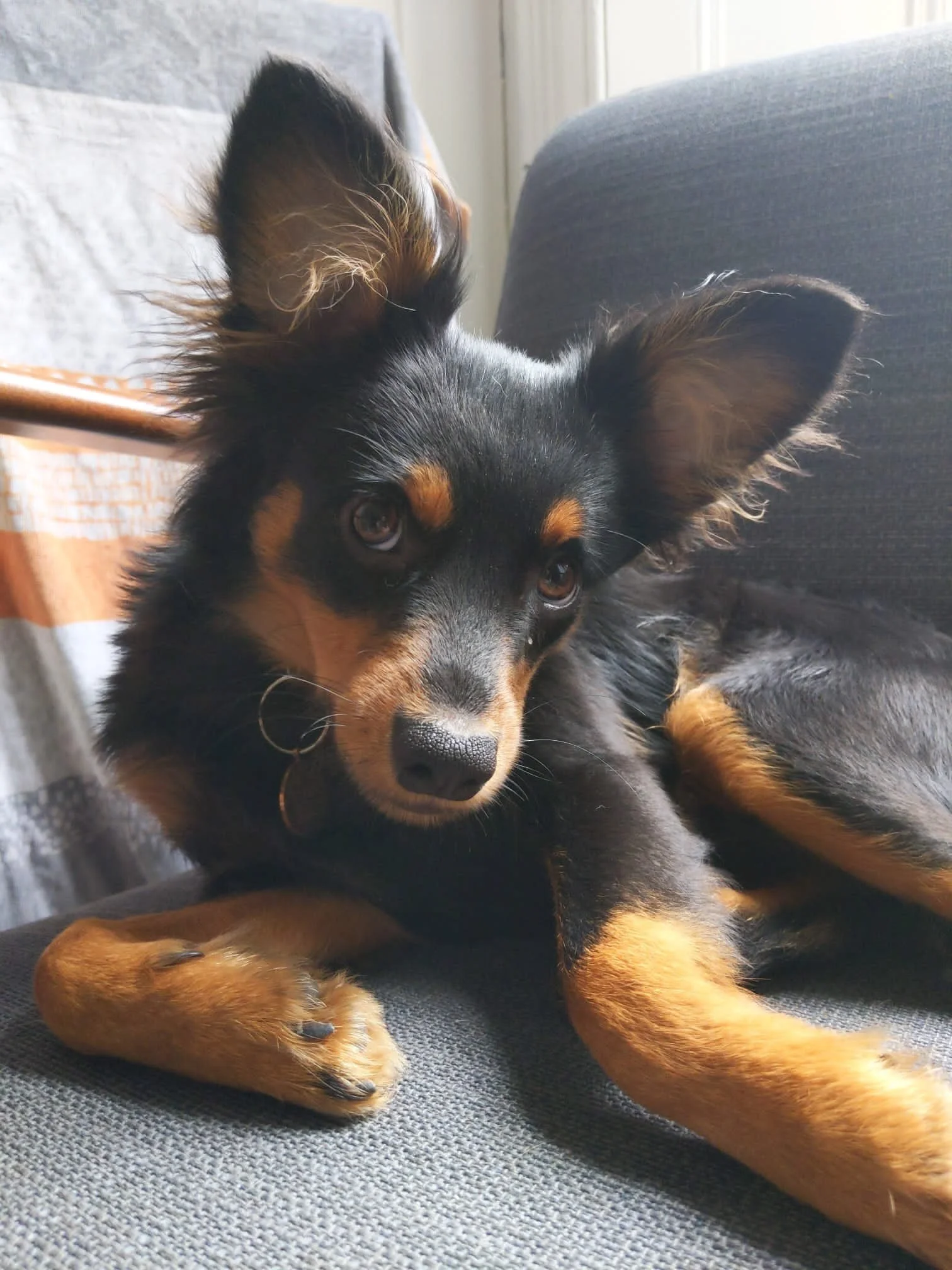 29EBFA0D-7F09-48FF-BF71-01FC2CAD3A5F