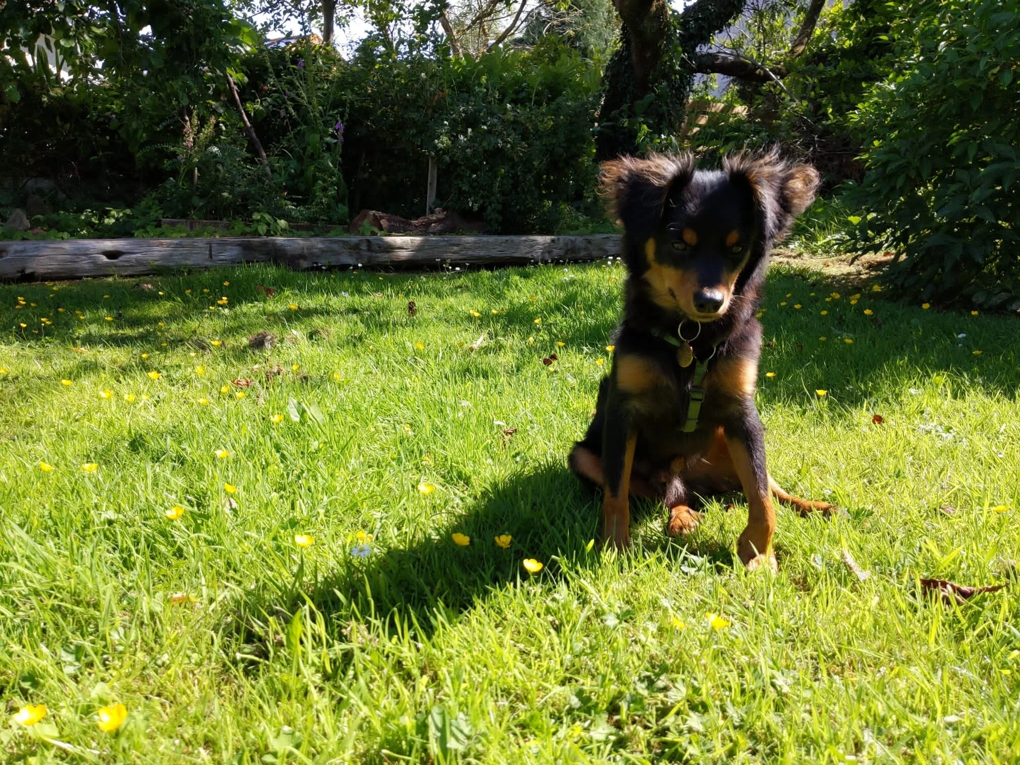 2F39FC79-3F0E-4652-9C34-BC93D41AD033