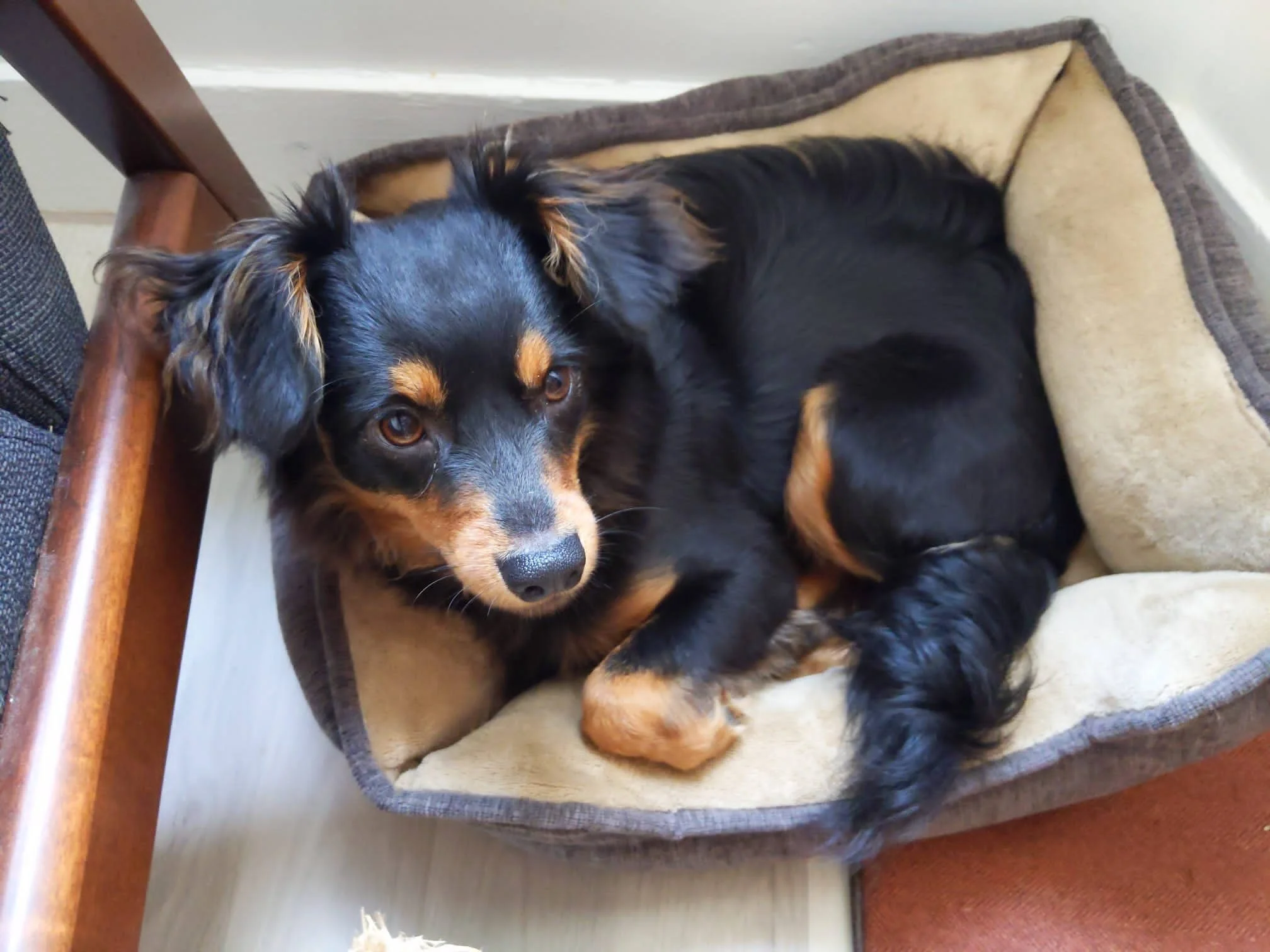 50F06C7E-AD9E-4564-939A-F005A54166FD