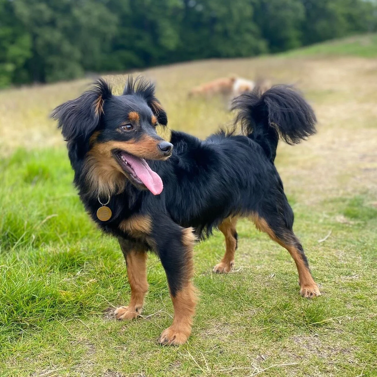 619E3E70-EC6D-477A-B0DC-31C3840550F2