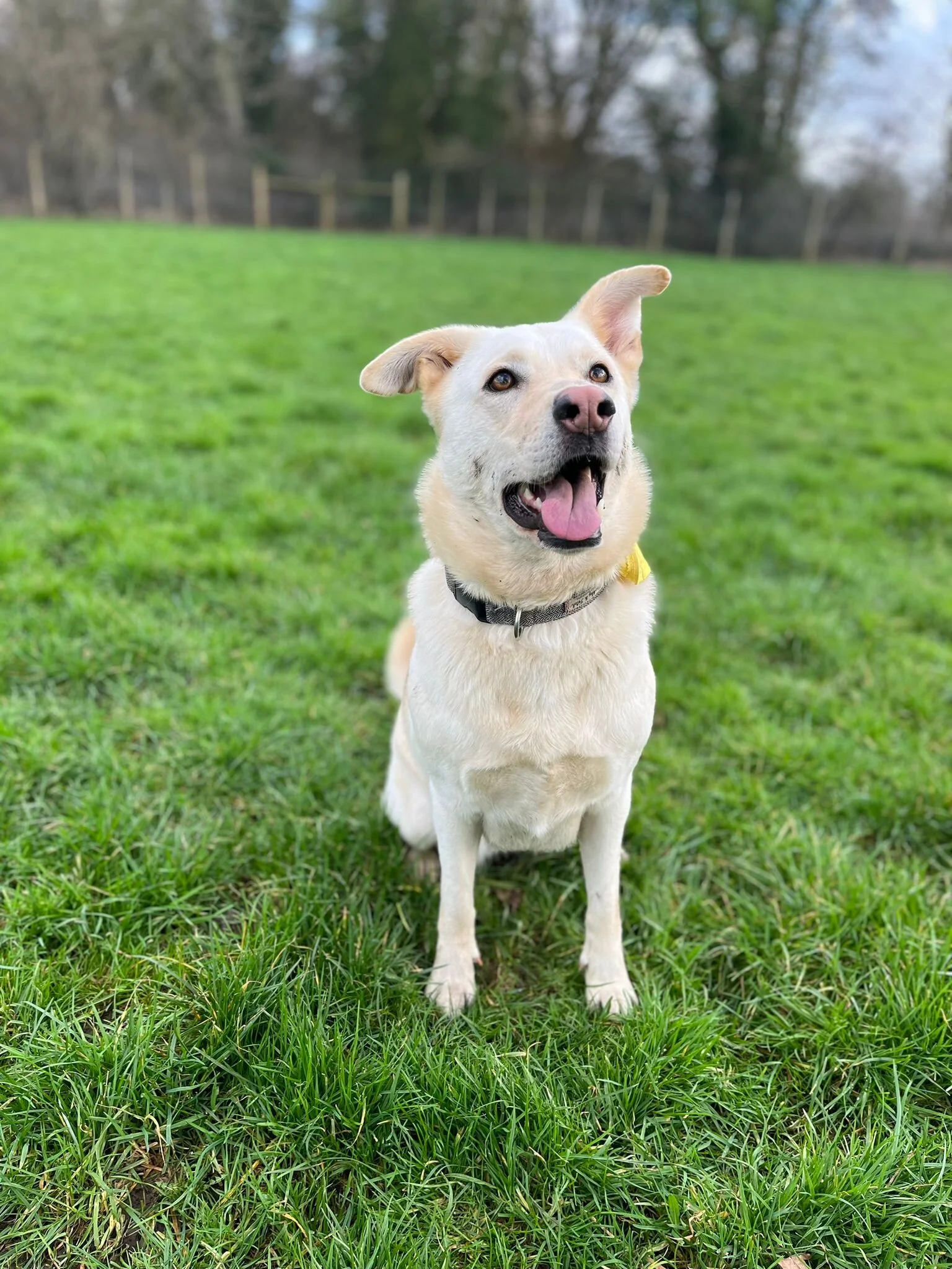 5666D3E3-357B-4F7E-8BFF-4D987DAE7793