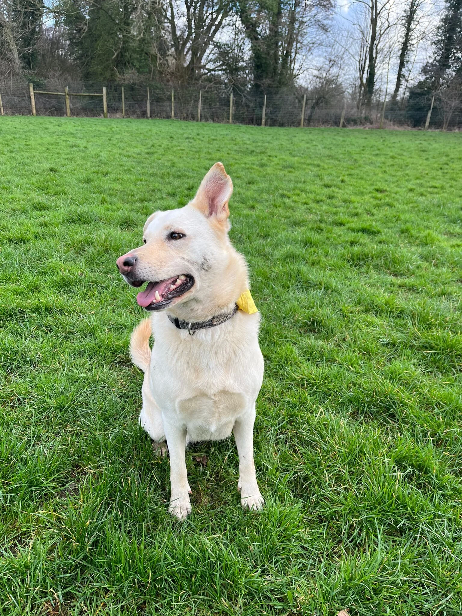 B1BBAF6C-6514-469C-96F2-C1ADAA858F23