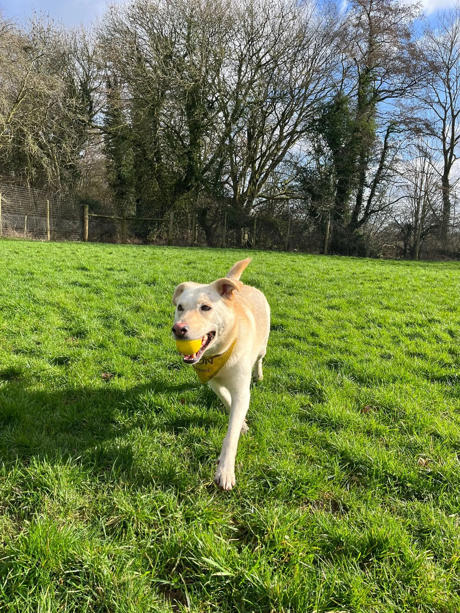 DF22EEBA-3609-4BFC-BC38-46076E5093B9