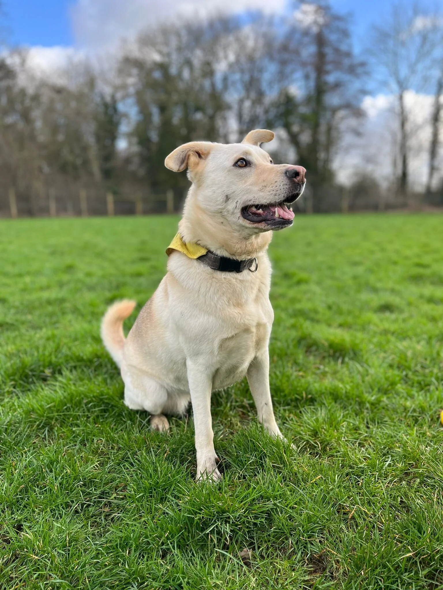 969DDD8F-2A7F-4A5F-B713-EC127E4AED96