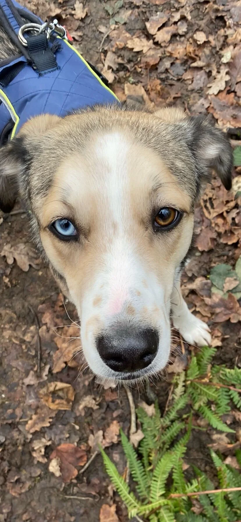 CEEC9FE9-6634-4B85-A3A6-D64B1A70781D