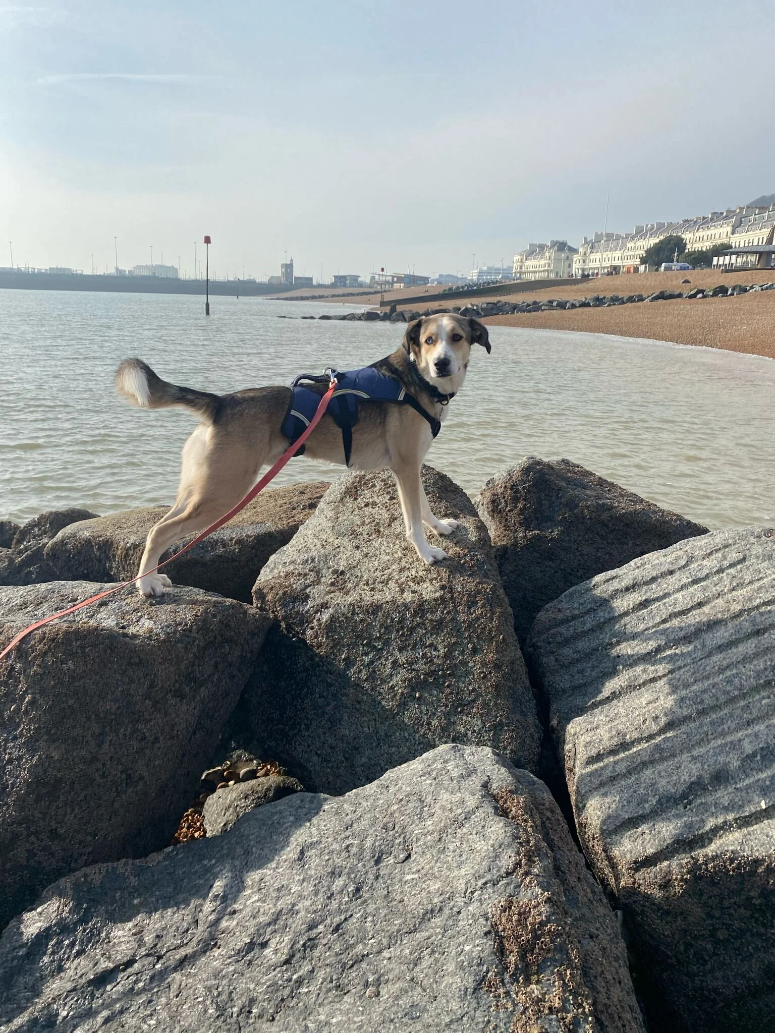 62B9B93D-341C-4DA4-BC77-8E649E14521C