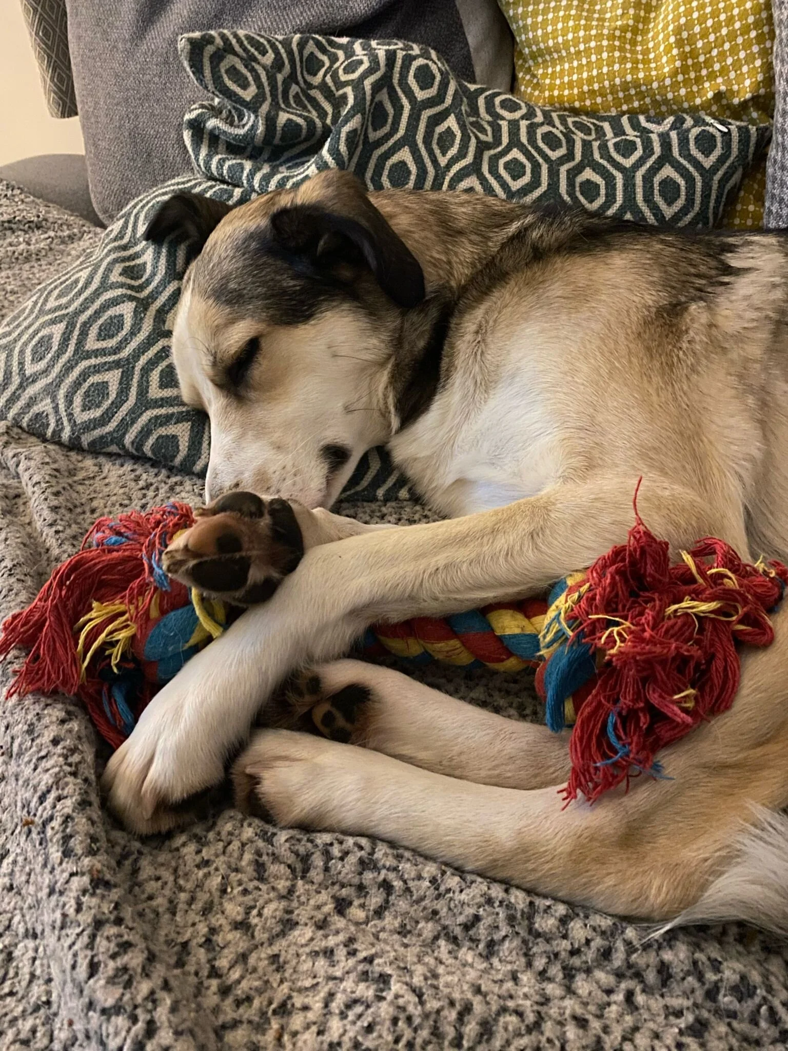 7AC7C334-256C-44E8-92FA-18FF5C48C43D