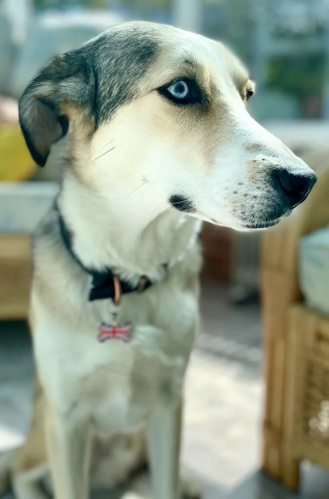 FB51B2A8-62BA-4E13-8B80-49CB376639A6