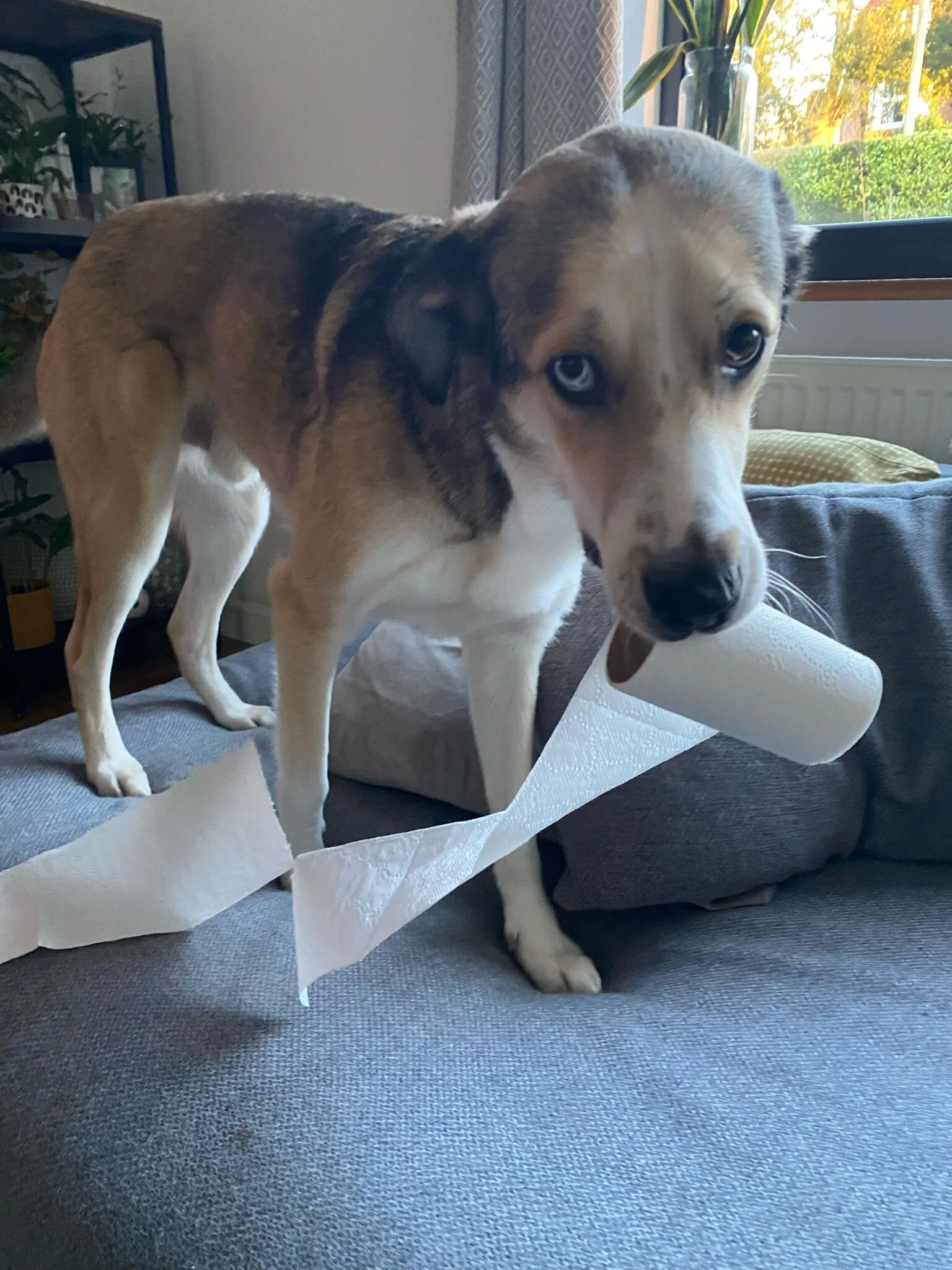 30E19D84-D6C2-45EA-BAB6-0A0B075EF34B