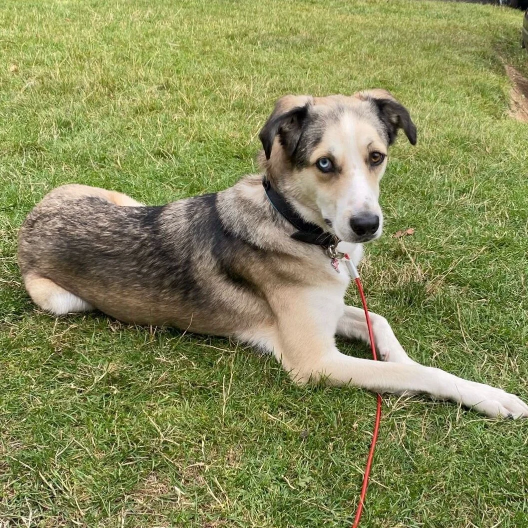 333B4DC8-0562-4E4E-B163-3E83C5E8CF31