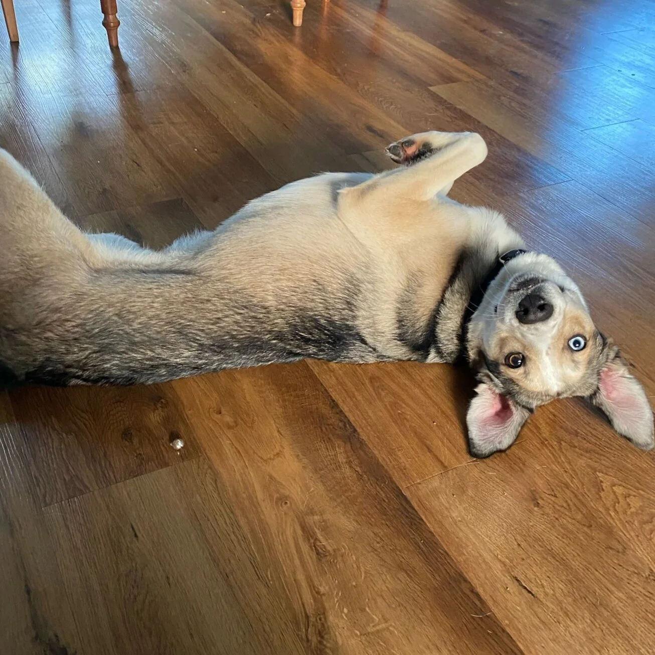 4144BCA2-DDFD-4C6F-A170-69222792AE69