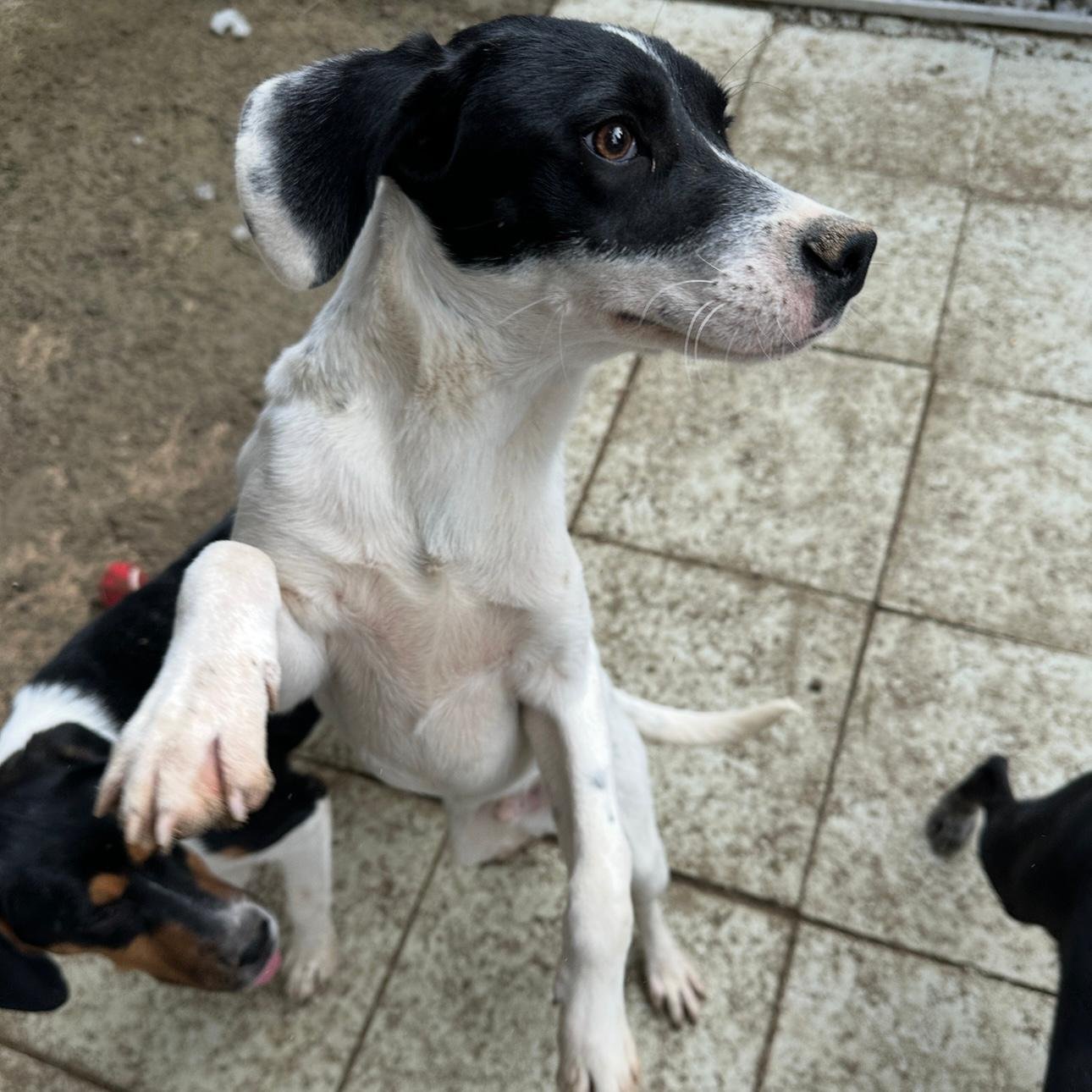 WhatsApp Image 2026-01-22 at 14.24.50.jpeg