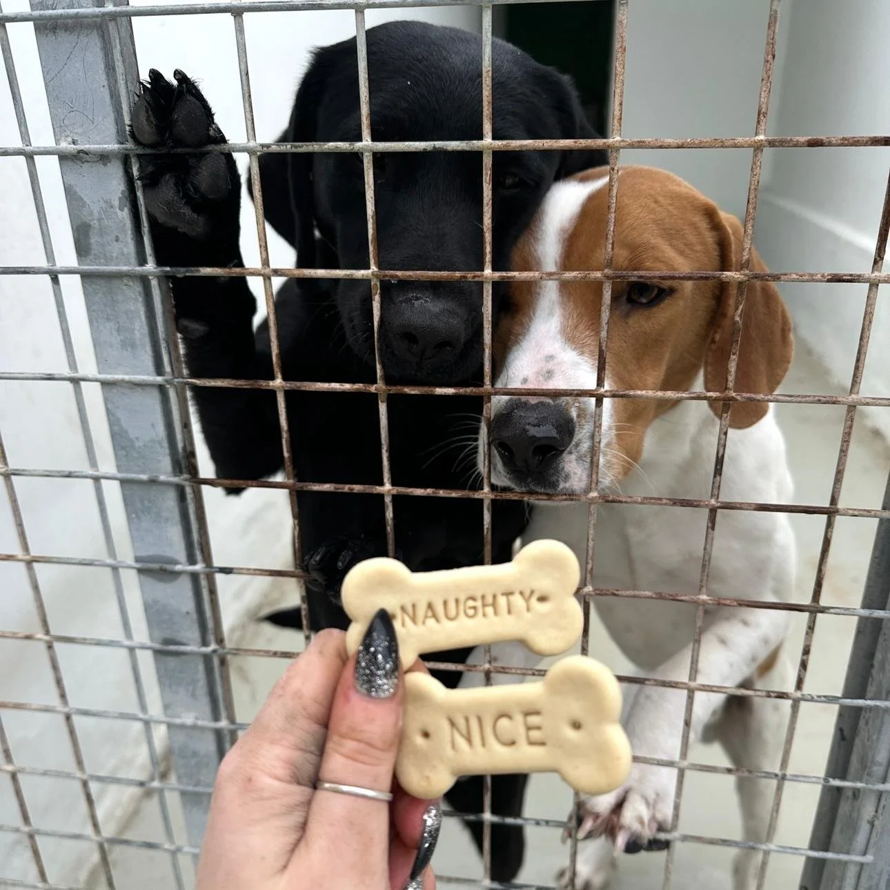 WhatsApp Image 2026-01-22 at 14.24.01 (2).jpeg