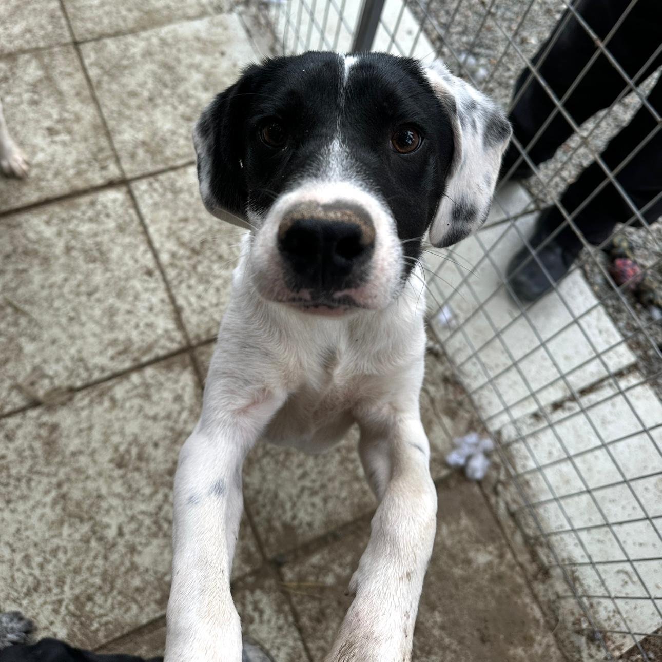 WhatsApp Image 2026-01-22 at 14.24.50 (2).jpeg