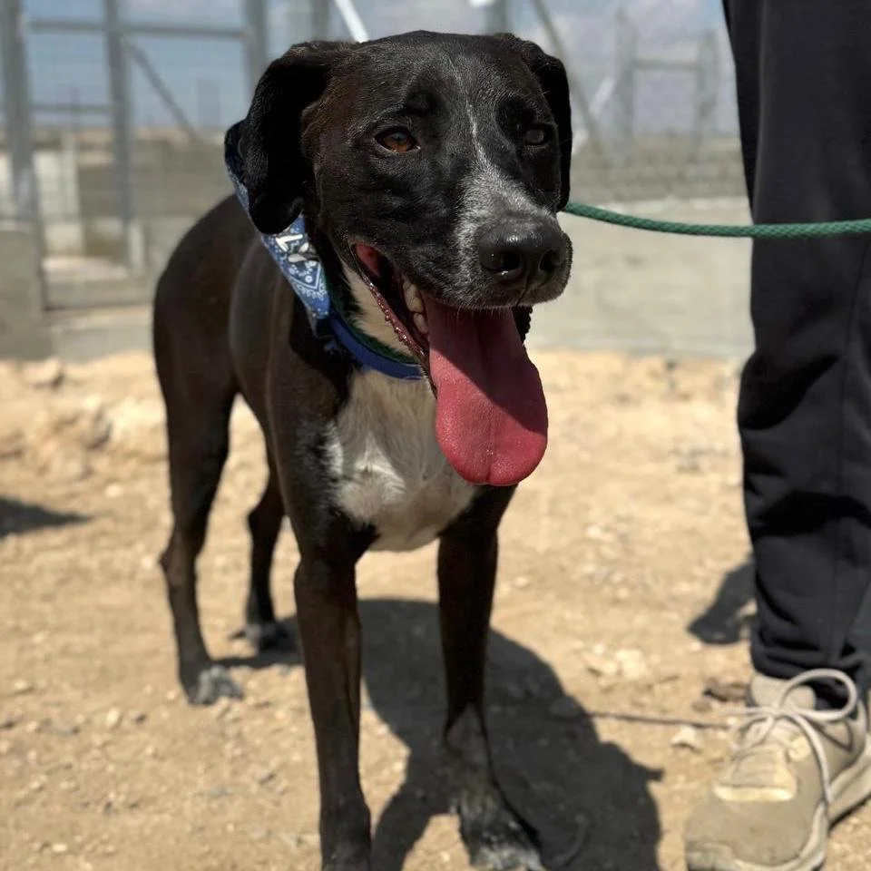 WhatsApp Image 2026-01-22 at 14.23.32.jpeg