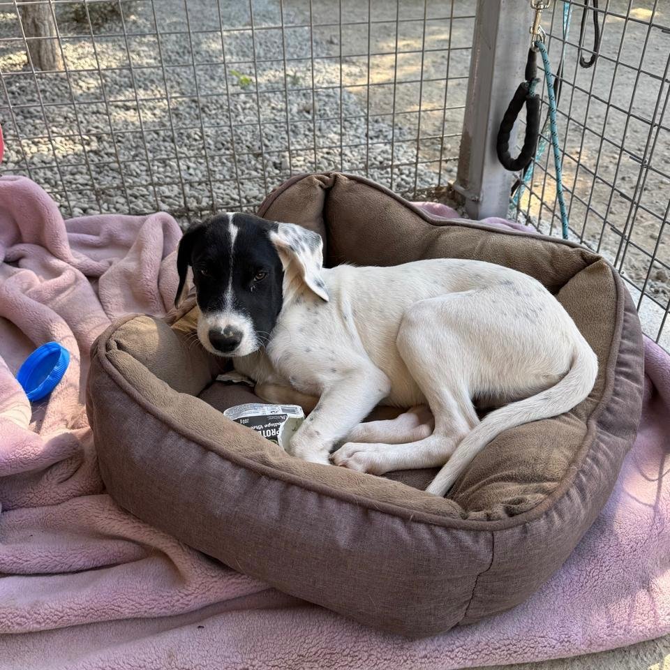 WhatsApp Image 2026-01-22 at 14.24.52 (1).jpeg