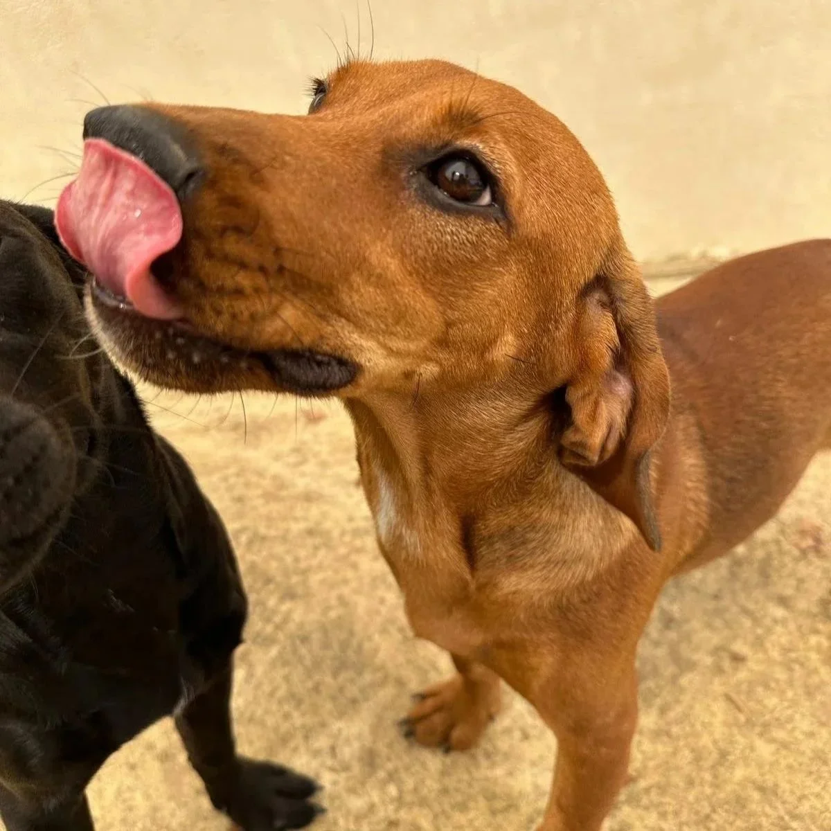 WhatsApp Image 2025-11-19 at 11.05.20.jpeg