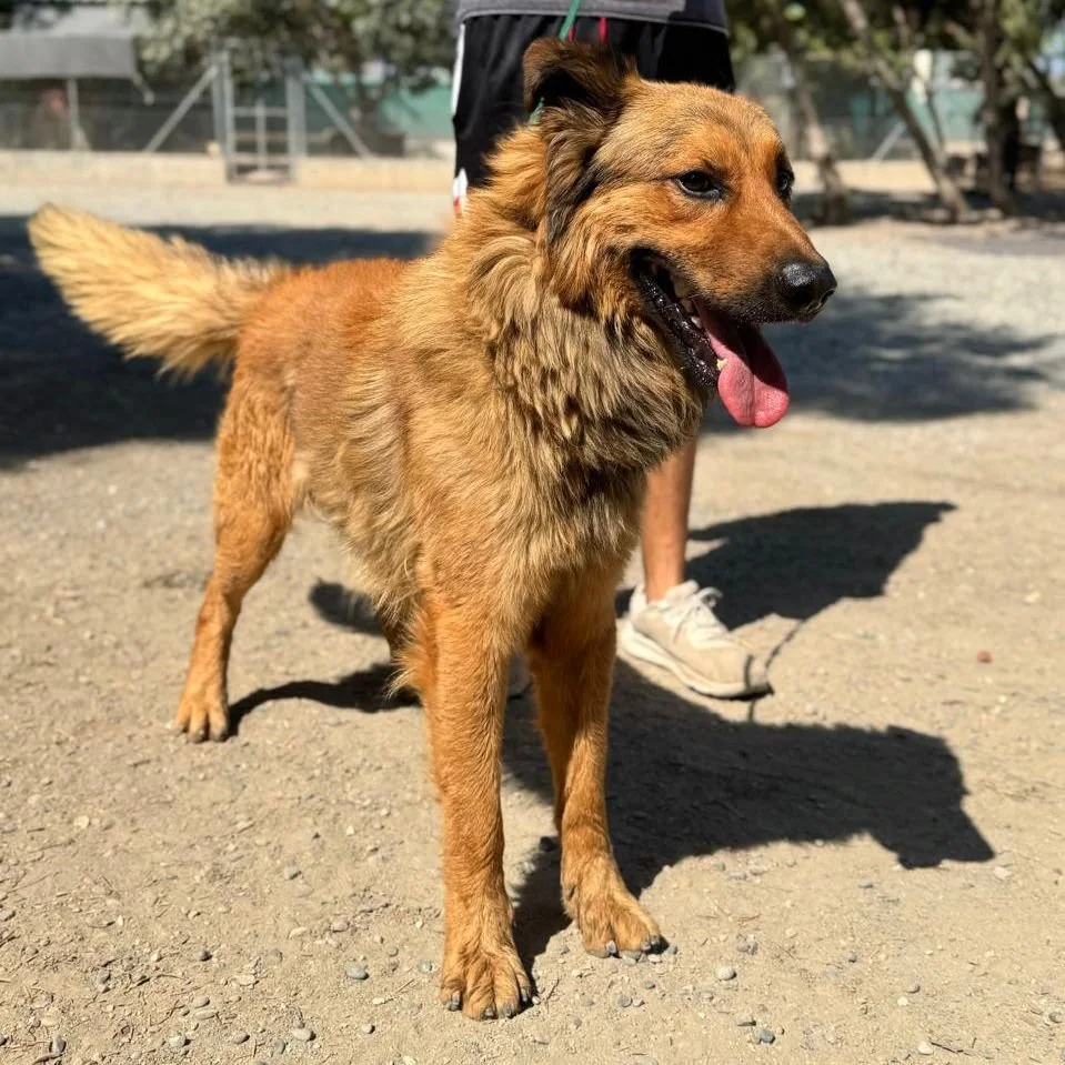 WhatsApp Image 2026-01-22 at 14.22.55.jpeg