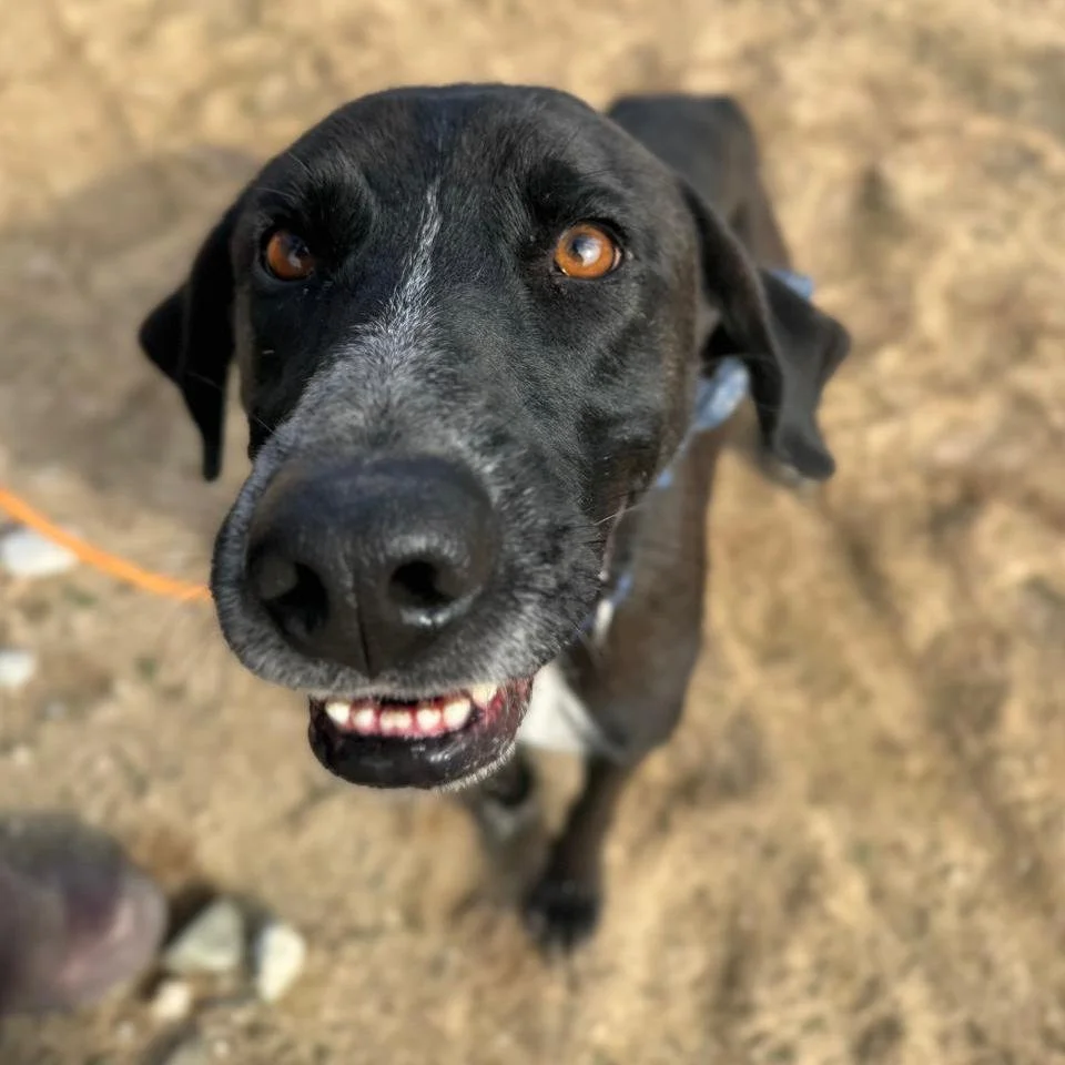 WhatsApp Image 2026-01-22 at 14.23.33.jpeg