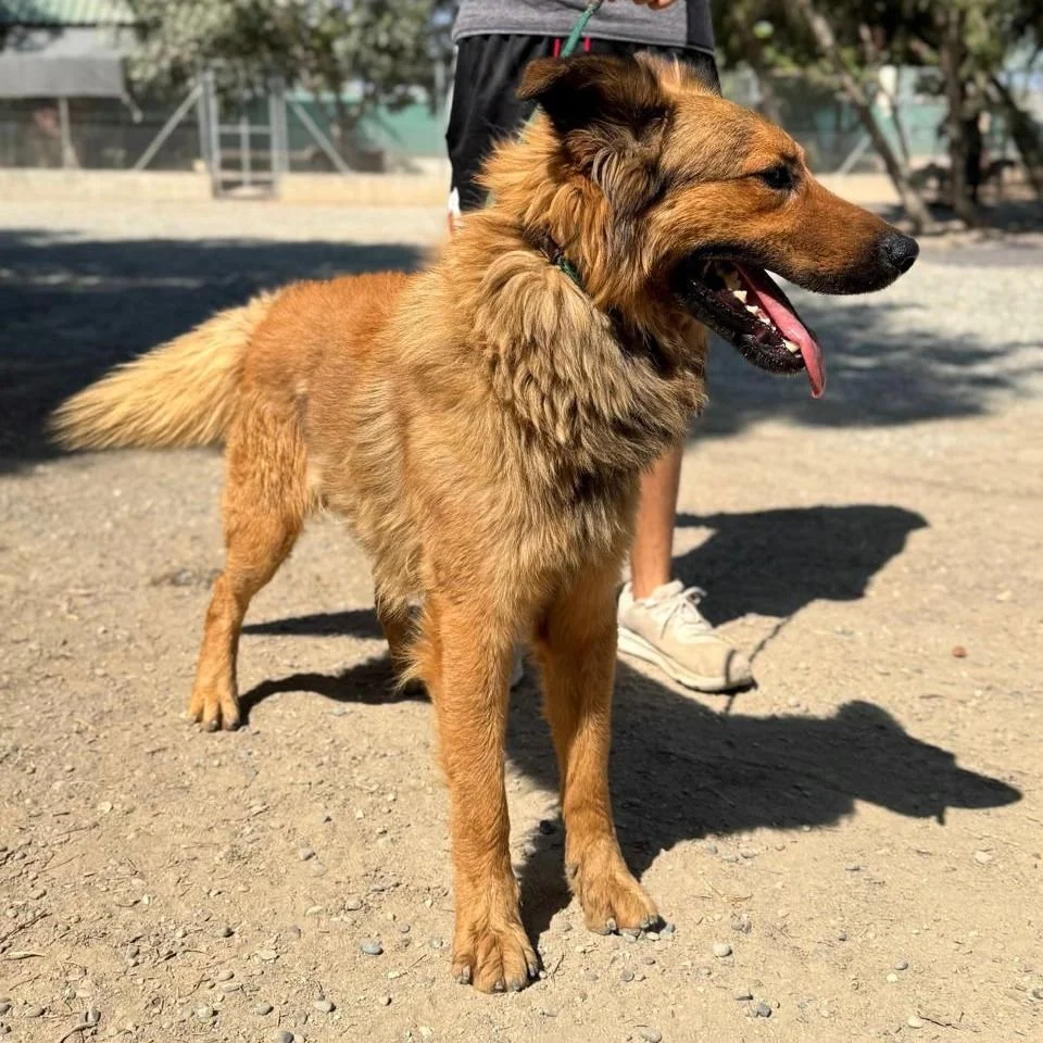 WhatsApp Image 2026-01-22 at 14.22.55 (3).jpeg