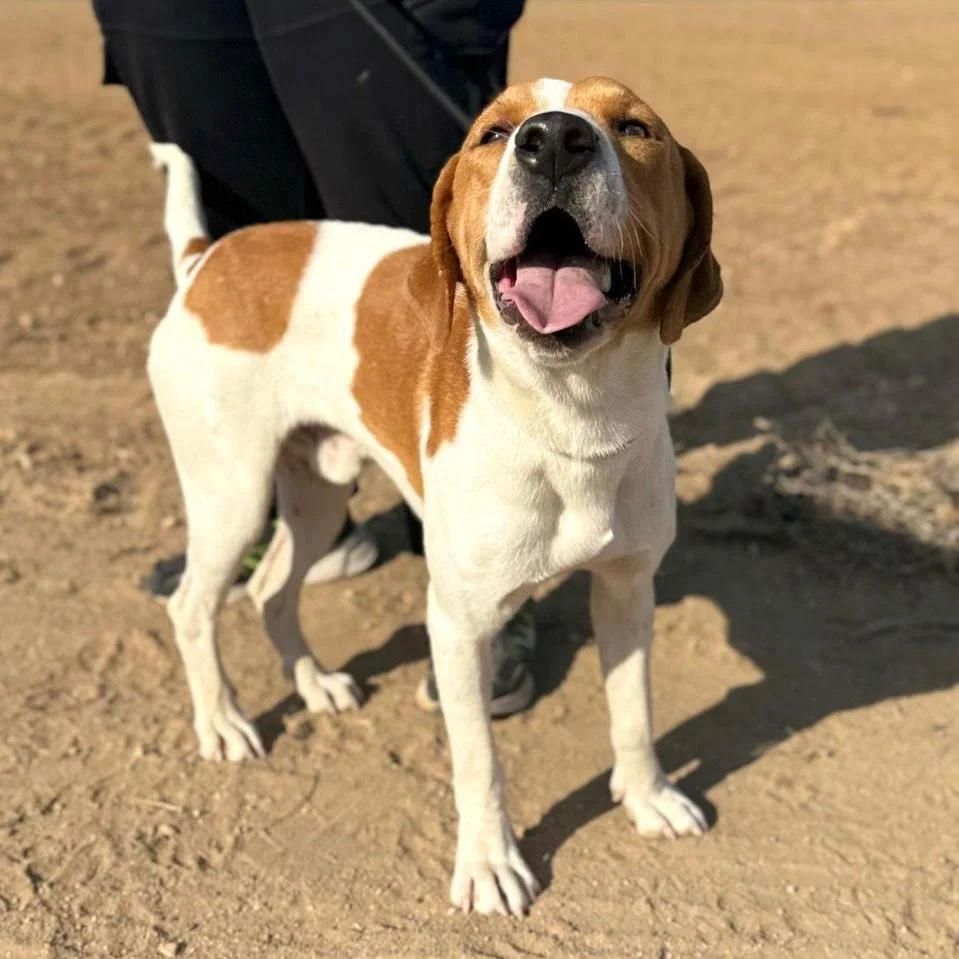 WhatsApp Image 2026-01-22 at 14.24.00.jpeg