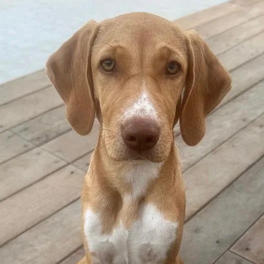 WhatsApp Image 2026-01-22 at 14.24.20 (1).jpeg