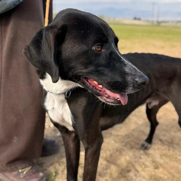 WhatsApp Image 2026-01-22 at 14.23.34 (1).jpeg