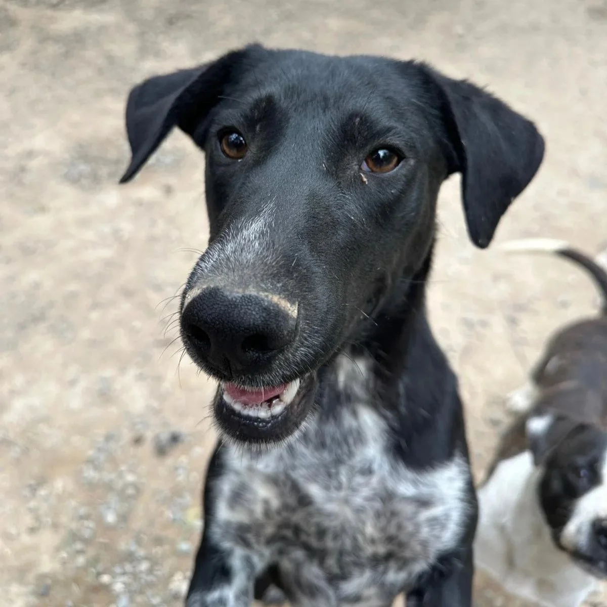 WhatsApp+Image+2026-04-18+at+19.31.35+%281%29.jpg