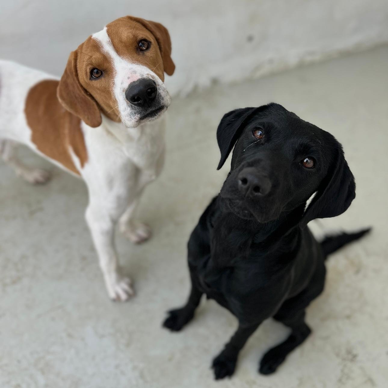 WhatsApp Image 2026-01-22 at 14.24.01 (1).jpeg