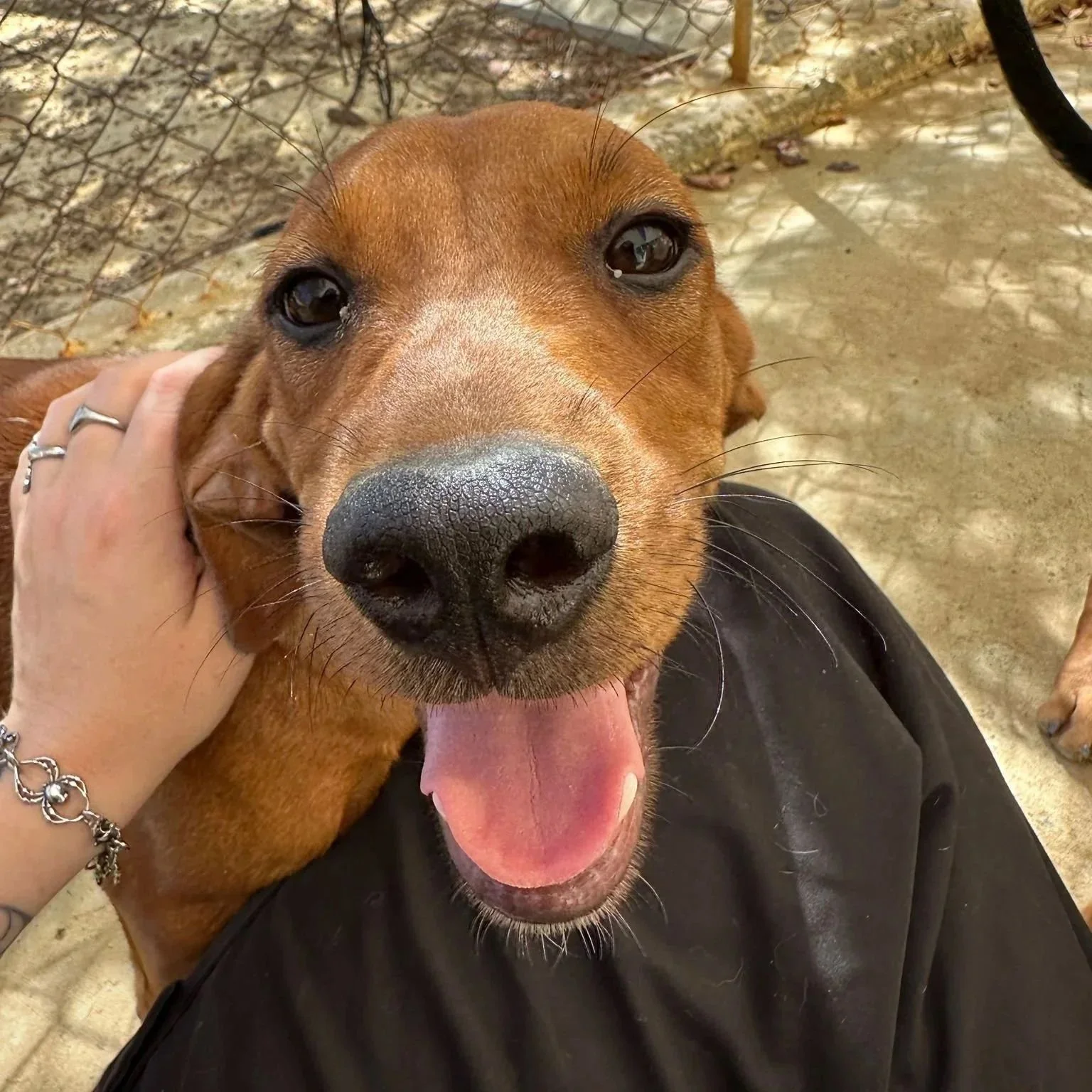 WhatsApp Image 2025-11-19 at 11.05.20 (3).jpeg