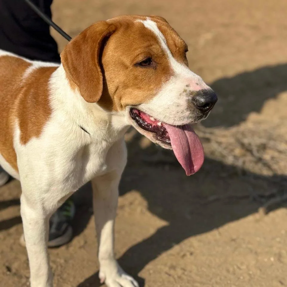 WhatsApp Image 2026-01-22 at 14.24.00 (1).jpeg