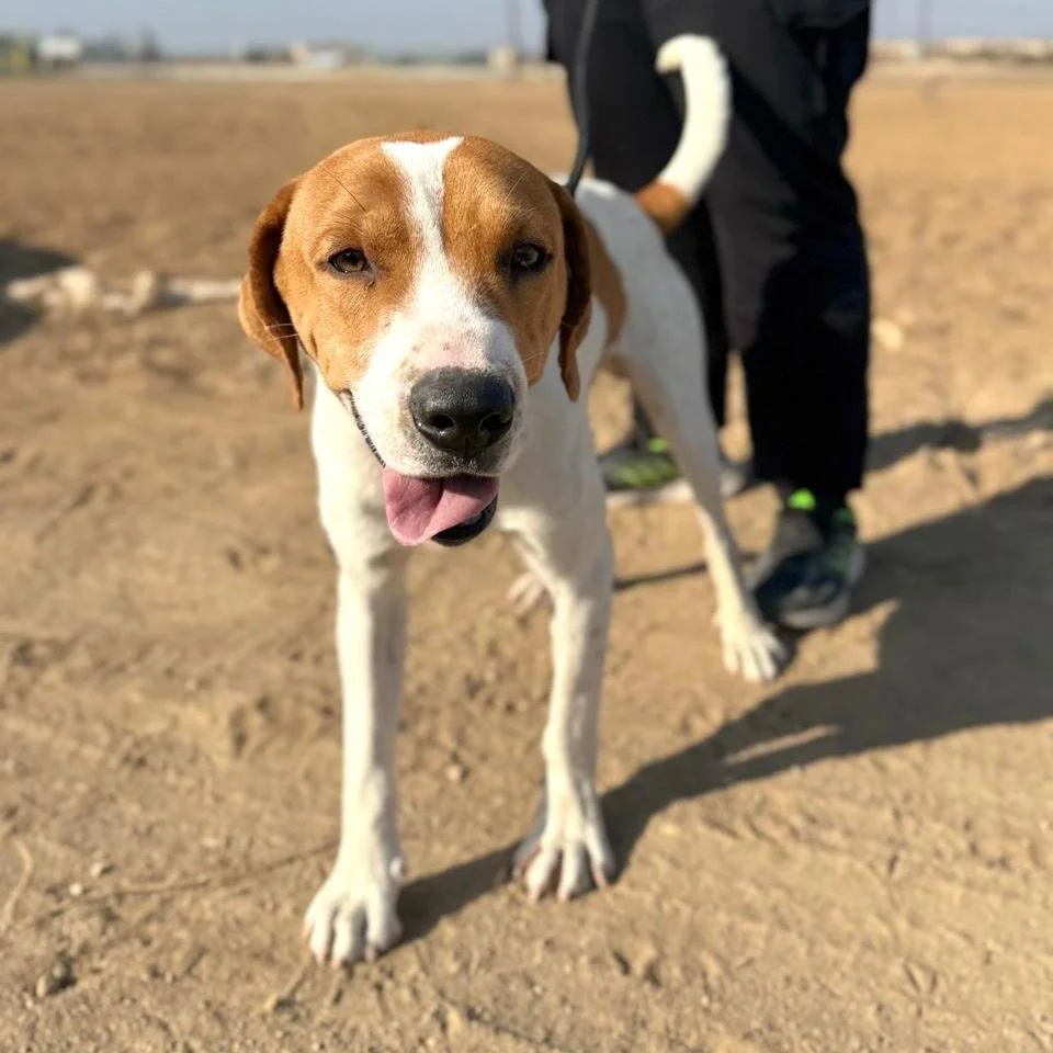 WhatsApp Image 2026-01-22 at 14.23.58 (1).jpeg