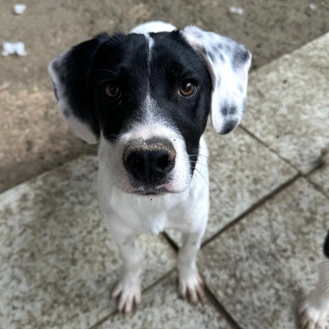 WhatsApp Image 2026-01-22 at 14.24.45.jpeg