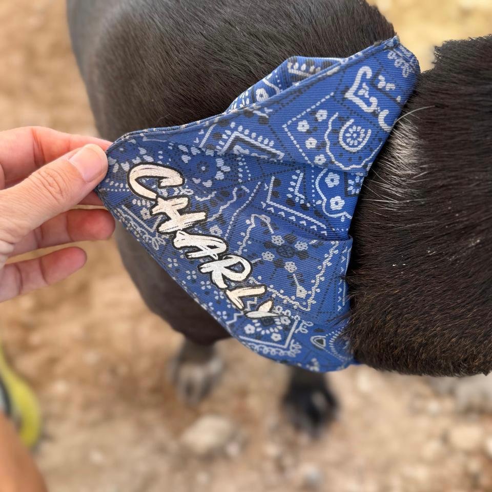 WhatsApp Image 2026-01-22 at 14.23.33 (2).jpeg